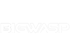bigwasp-logo
